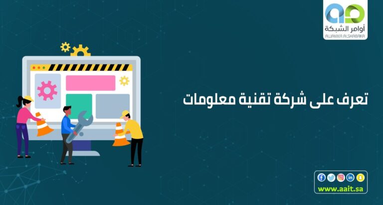 شركة تقنية معلومات رئدة